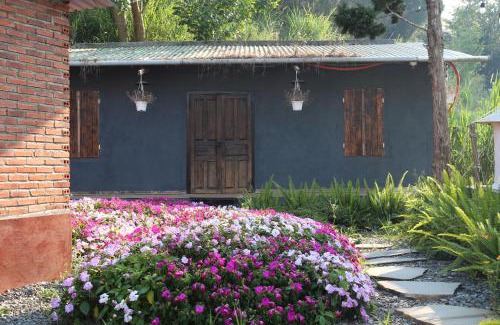 Da Lat Apartment | Eco-Friendly DaLart Glamping & Coffee with Hot Tub Access