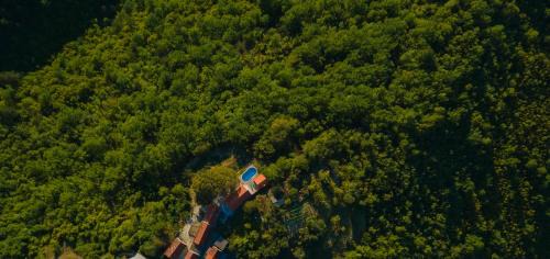 Slime Villa | Explore Dalmatian Green Peak: Pet-Friendly Oceanfront Retreat