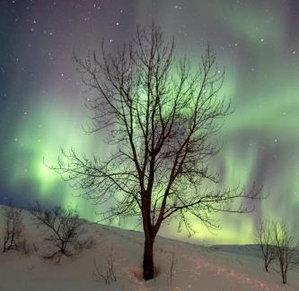 Kirkjubaejarklaustur Bed & Breakfast | Discover Dalshöfdi Guesthouse: Family-Friendly Retreat