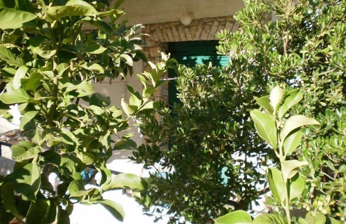 Kassiopi Apartment | Inviting Damaskis Studios: Oceanfront Retreat in Kassiopi