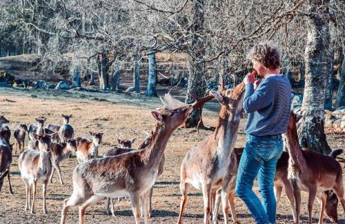 Hassleholm Municipality House | Experience Damwildfarm: 4-Star Paradise in Südschweden