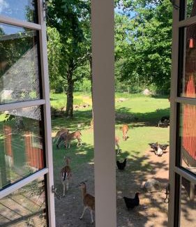 Hassleholm Municipality House | Experience Damwildfarm: 4-Star Paradise in Südschweden