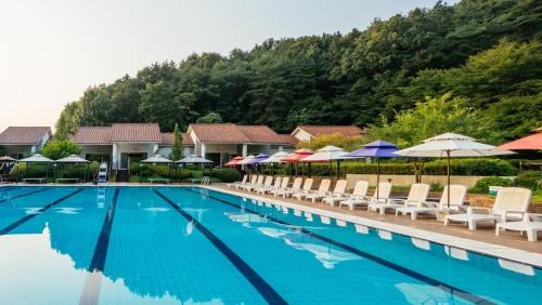 Wonyul-ri Hotel | Relax at Damyang Spa and Tourist Hotel with Hot Tub Access