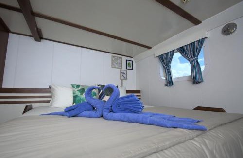 Semporna Boat Rental | Dancing Wave