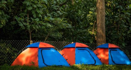 Dandeli House | Pet-Friendly Retreat at Dandeli Tiger Cottages