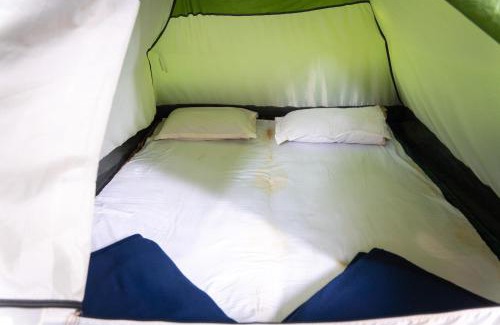 Dandeli House | Pet-Friendly Retreat at Dandeli Tiger Cottages