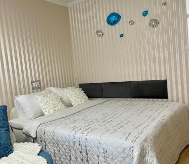 Panevezys Apartment | Dani apartment