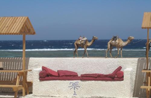 Dahab Resort | Discover Daniela Diving Resort Dahab with Private Beach Access