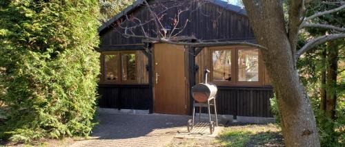Pelczyce House | Discover Dankowska Dolina: Oceanfront Family Getaway