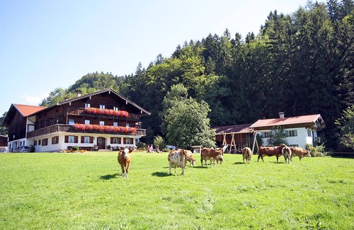 Aschau im Chiemgau Apartment | Unforgettable Stay at Danner Christine -ertlhof- with Breakfast