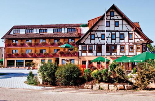 Marschalkenzimmern Hotel | Pet-Friendly Getaway at Danner's Hotel Löwen - 8.8/10 Rated