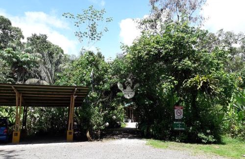 Palma Cabin | Serene Danta Corcovado Lodge with Oceanfront Views