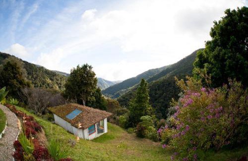 San Gerardo de Dota Bed & Breakfast | Escape to Dantica Cloud Forest Lodge: Pet-Friendly Retreat