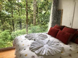 San Gerardo de Dota Bed & Breakfast | Escape to Dantica Cloud Forest Lodge: Pet-Friendly Retreat