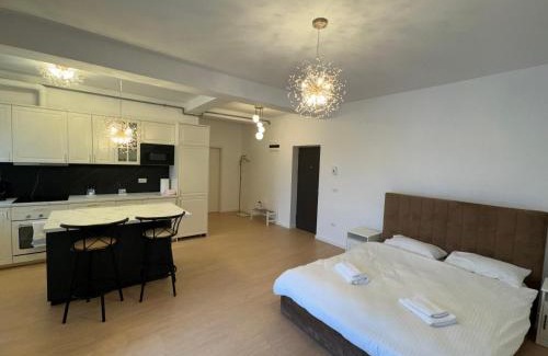 Dumbravita Apartment | Explore Inviting Apartments in Dumbrăviţa, Romania