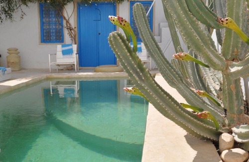 Erriadh Bed & Breakfast | Experience Bliss at Dar Bibine with Oceanfront Views