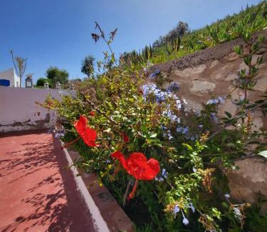 Moulay Bouzarqtoune House | Pet-Friendly Getaway at Dar Janoub with Pool Access