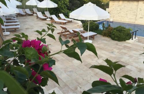 Patara Hotel | Stunning Dardanos Hotel with Ocean View & Pool Access