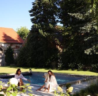 Stare Sedlo Villa | Experience the Best at Darmyšl No13 with Ocean View Pool