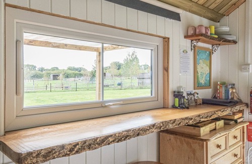 Liverton Cabin | Discover Dartmoor Reach Alpaca Farm - Family Friendly Retreat