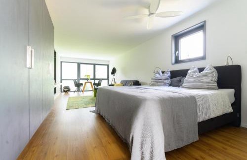 Kippenheim Apartment | Exceptional Stay at Das Andere - Gästeapartment, 4 Stars