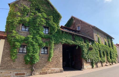 Mainz-Bingen Hotel | Family-Friendly das Eppelsheimer with Pet Amenities