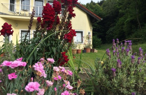 St. Cristophen House | Experience Das gelbe Haus: Family-Friendly & Breakfast Included