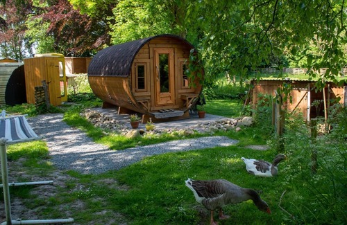 Barlt Apartment | Discover Das Möwennest - Family-Friendly Retreat with Pets
