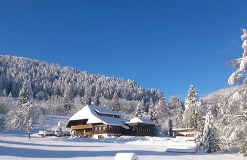 Todtmoos Hotel | Pet-Friendly Retreat at Das Schwarzwaldhotel with Dining