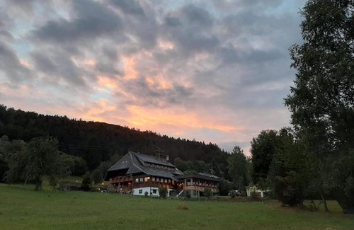 Todtmoos Hotel | Pet-Friendly Retreat at Das Schwarzwaldhotel with Dining