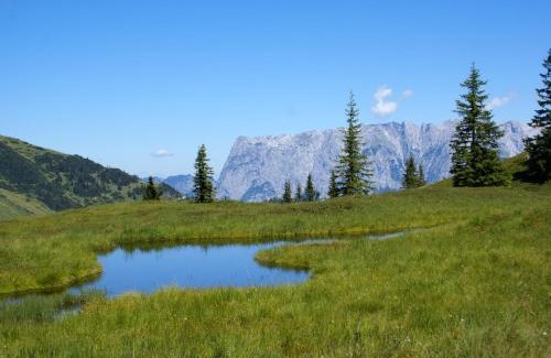 Muehlbach Am Hochkoenig Apartment | Relax at Das Sonneck: Oceanfront, Pet-Friendly Retreat