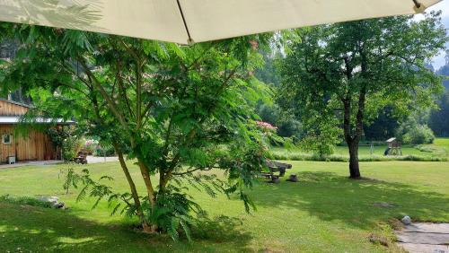 Finkenstein am Faaker See Apartment | Discover das stille Paradies with Oceanfront Views