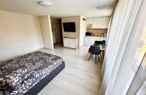Daugavpils Apartment | Daugavpils Central apartment ARELIJA