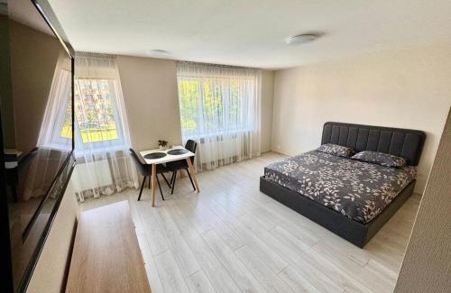 Daugavpils Apartment | Daugavpils Central apartment ARELIJA