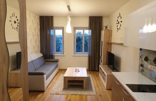 Kaunas Apartment | Family-Friendly Daukanto Apartamentai for Memorable Stays