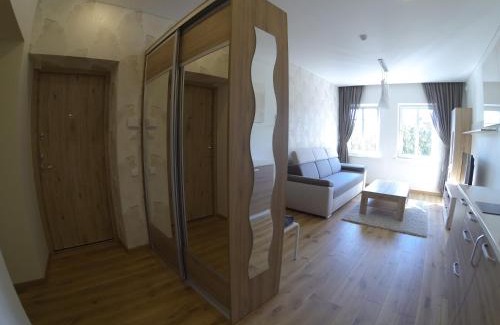 Kaunas Apartment | Family-Friendly Daukanto Apartamentai for Memorable Stays