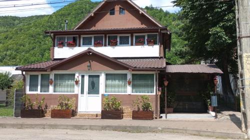 Bicaz Apartment | Pet-Friendly Retreat at David House - Rated 10/10 by Guests