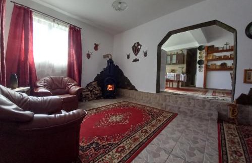 Bicaz Apartment | Pet-Friendly Retreat at David House - Rated 10/10 by Guests