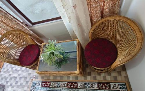 Lebong and Mineral Spring Tea Garden House | Discover Dawaipani View Point: Family-Friendly Retreat
