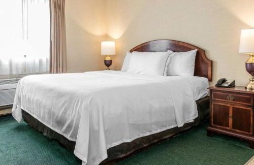 Hammond Hotel | Comfortable Days Inn & Suites: Pet-Friendly with Pool