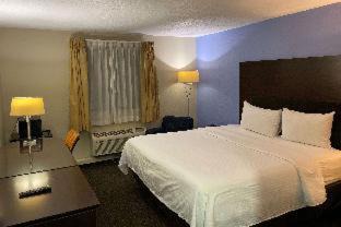 Hammond Hotel | Comfortable Days Inn & Suites: Pet-Friendly with Pool