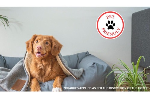 Aransas Pass Hotel | Budget-Friendly OYO Hotel Aransas Pass with Pet Amenities