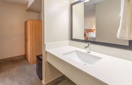 Birch Run Hotel | Budget-Friendly Days Inn by Wyndham Birch Run with Breakfast