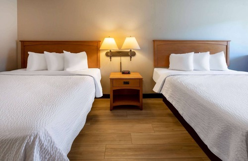 Birch Run Hotel | Budget-Friendly Days Inn by Wyndham Birch Run with Breakfast