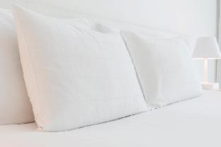 Charles Town Hotel | Pet-Friendly Retreat at Days Inn by Wyndham Charles Town