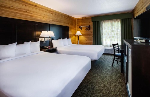 Cadillac Hotel | Discover Days Inn by Wyndham Cadillac: Pet Friendly & Oceanfront