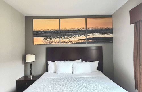 Clear Lake Shores Hotel | Discover Days Inn by Wyndham Kemah: Family-Friendly Getaway