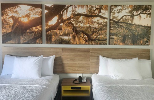 Lafayette Hotel | Budget-Friendly Days Inn by Wyndham Lafayette Scott Awaits