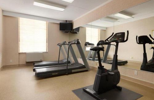 Ottawa Division Hotel | Pet-Friendly Days Inn by Wyndham Ottawa West Awaits You