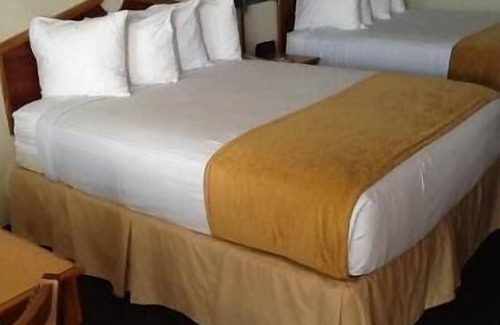 San Angelo Hotel | Relax at Days Inn by Wyndham San Angelo - Pet Friendly Stay
